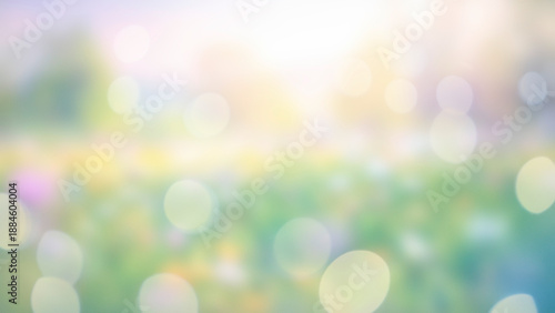 spring meadow with flowers blossom and sunshine. Blurred background with copy space
