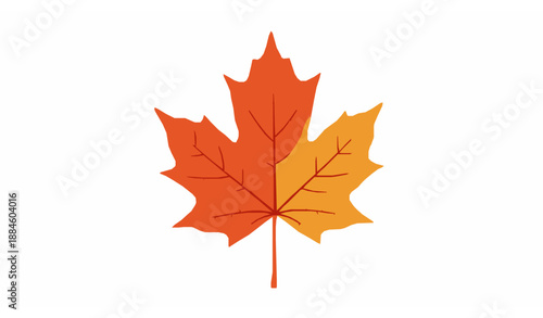 Realistic autumn maple leaf vector isolated on white background