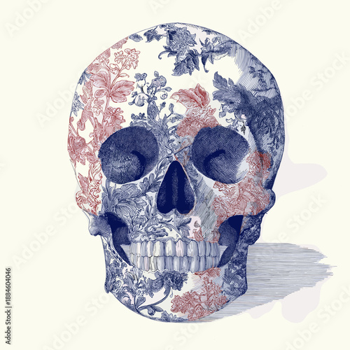 Decorative human skull showing detailed blue and red scrollwork patterns on an off-white background. Ornate skull illustration with intricate blue and red floral patterns