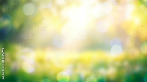 spring meadow with flowers blossom and sunshine. Blurred background with copy space
