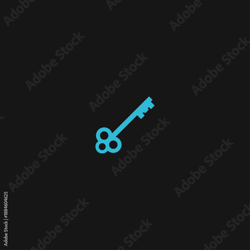 Key logo Icon flat vector design