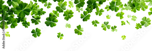 Falling shamrocks, flying green clovers leaves isolated on white or transparent panoramic background. St Patrick's day celebration web banner
