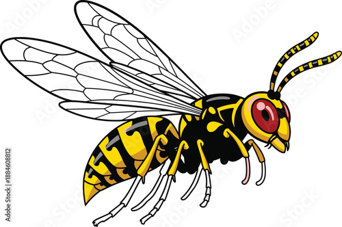 Wasp insect cartoon illustration with yellow and black stripes, hornet flying isolated on white background, dangerous stinging pest vector art,