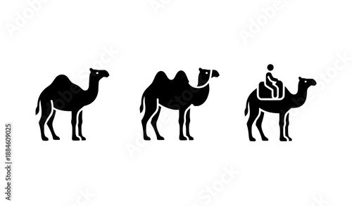 Minimal Camel Silhouette Icon Set Including Dromedary and Bactrian Camels