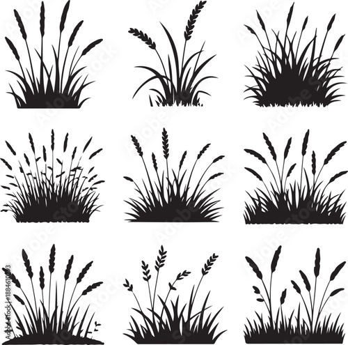 set of grass and reeds silhouettes on white background