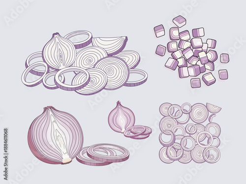  flat ilustratio onion collection whole and sliced with layered. Purple vegetable Fresh cooking ingredient set bundle soft color background ilustration