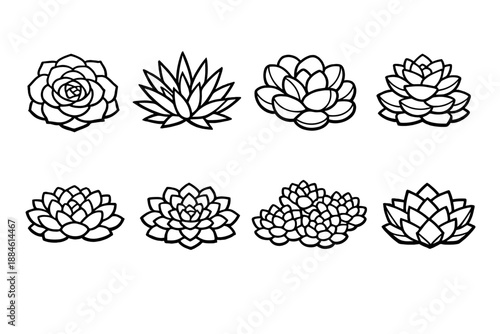 Plants and nature icon set. Containing succulent, cactus, flora, leaf, bloom, garden, growth, terrarium, essence, botanical.