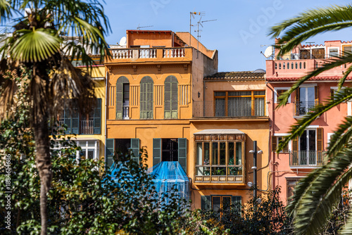 Fotografia Colorful facades of traditional mediterranean townhouses surrounded by palm tree