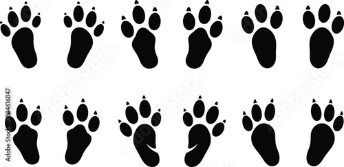 Collection of Wild Animal Paw Prints and Wildlife Tracks Silhouette Icons Isolated on White Background for Nature Tracking Forest Exploration and Education Graphic Design Projects