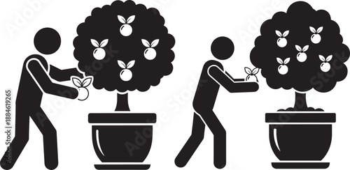 Harvesting fruit silhouette vector black and white