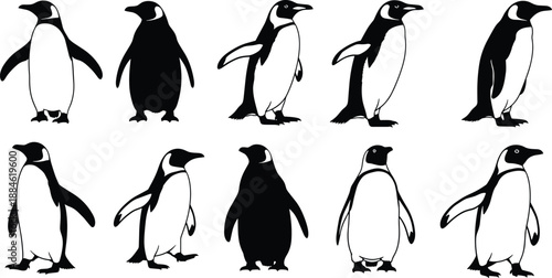 Penguin silhouettes illustration set, cute antarctic bird poses collection, wildlife animal icons, black and white penguins isolated on white background