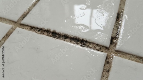 Extreme close-up of black mildew growing in porous grout lines between white bathroom floor tiles. Moisture residue and subtle reflections highlight the texture against the hard ceramic surface.