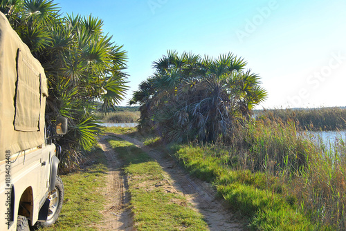 Follow the road through the wilderness 