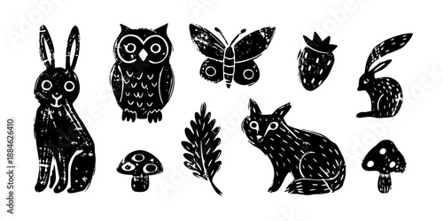 A collection of black and white illustrations depicting animals plants and fungi