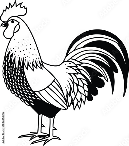 Rooster Portrait: A proud rooster is depicted in a bold, eye-catching black and white illustration, showcasing its distinct features and iconic silhouette.