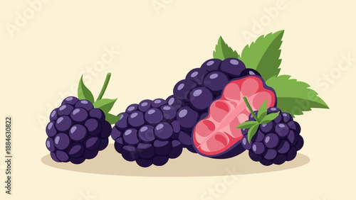 A digital illustration of several ripe blackberries with leaves, one berry cut open