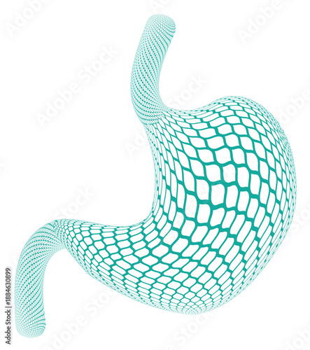 Human stomach mesh shaped 3D icon