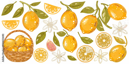 A colorful illustration of fresh lemons lemon slices and delicate white blossoms