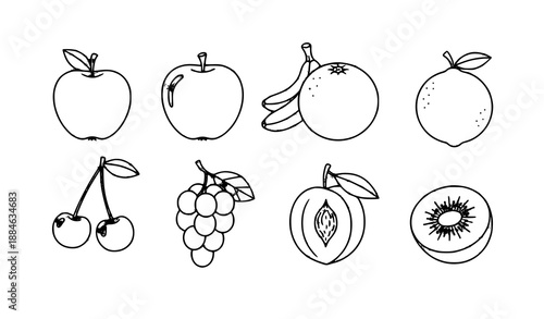 Fruit coloring worksheet vector set for children simple outline fruits isolated on white