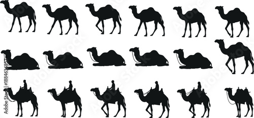 Collection of Black Camel Silhouettes Featuring Dromedary and Bactrian Camels in Various Poses Including Walking Sitting and Riding for Desert Travel and Middle Eastern Design