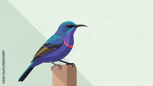 Vibrant blue and purple bird perched on a wooden post