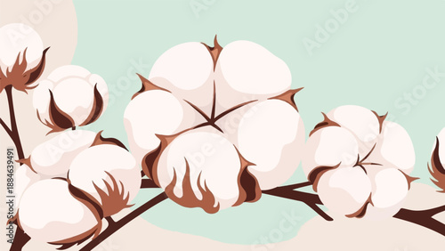 Soft fluffy cotton bolls on branches against a pale mint and cream background