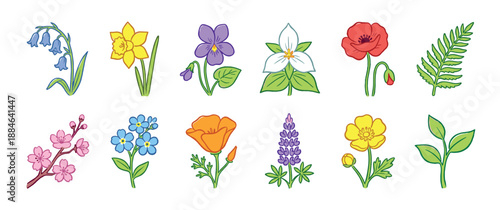 Collection of colorful hand-drawn spring flowers and botanical elements in a simple, charming cartoon illustration style, featuring a variety of different wildflower species