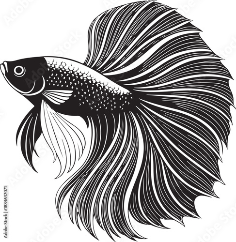 fish vector illustration