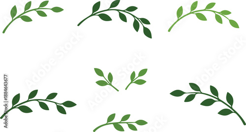 Minimal green botanical leaf branch elements set.