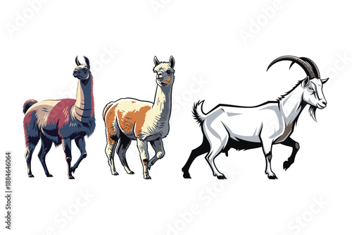 Llamas and Goat Illustration Walking Together