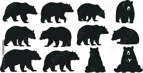 Bear silhouettes illustration set, wild animal poses collection, forest wildlife mammal icons, black bear shapes isolated on white background