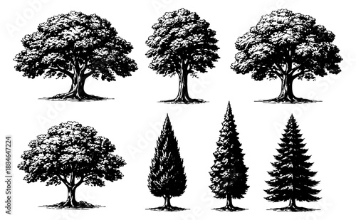 Hand drawn line art tree set featuring various deciduous and coniferous trees for natural landscape design