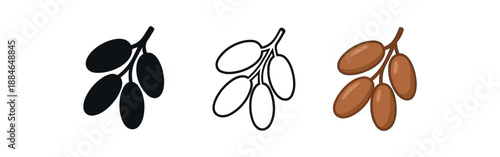 date fruit three small cluster of dates warm brown