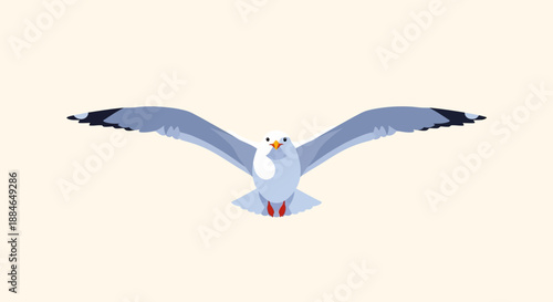 A seagull in flight, Laridae family, with outstretched wings, camaraderie in the air, flying high