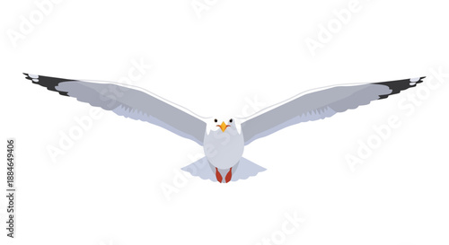 A seagull, specifically a camar Laridae, flying directly towards the camera with outstretched wings in a clear sky