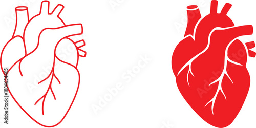 Human heart icon in bold and outline style, clean medical vector EPS for UI and print.