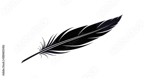 Black feather illustration on white background.