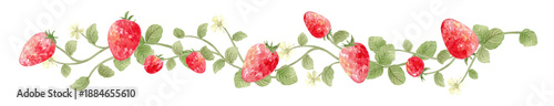 Watercolor strawberry border with red berries and white flowers. Hand-painted fruit footer illustration.-300dpi-