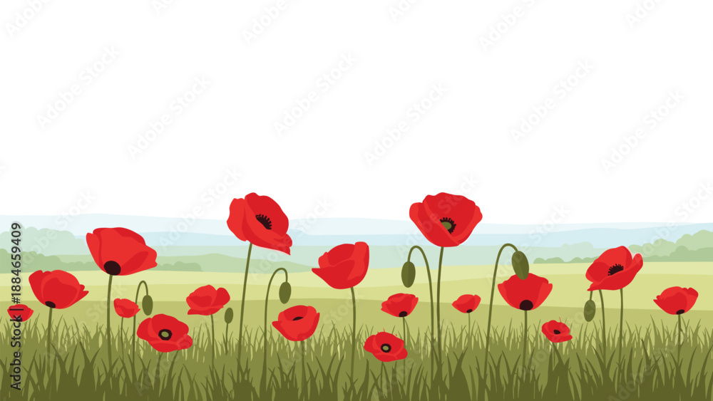Obraz premium Vibrant field of red poppy flowers with lush green stems and leaves, blooming against a soft, blurred landscape and clear sky.