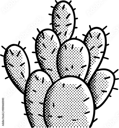 Prickly pear cactus drawing, desert plant illustration with spines and oval pads on white background