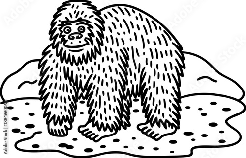 sloth standing on the ground with plants and bushes in the background