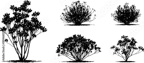 Silhouettes of various bushes and shrubs isolated on white background natural plant shapes collection