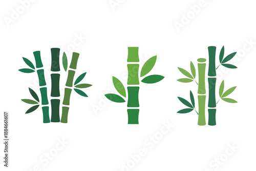 Three Green Bamboo Plants with Leaves on White Background