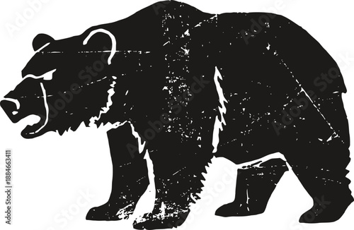 Grunge silhouette of a roaring bear standing sideways with distressed texture effect