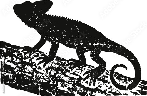 Chameleon on tree branch silhouette, reptile with curled tail and textured body