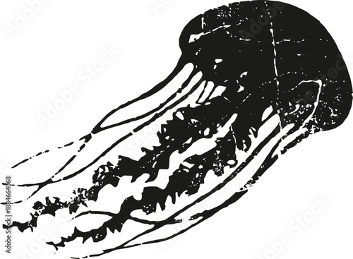 Black jellyfish silhouette with long flowing tentacles isolated on white background