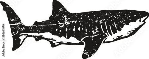 Black silhouette of a great white shark with detailed texture and sharp teeth