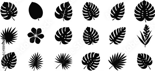 Collection of various tropical leaf silhouettes on a white background