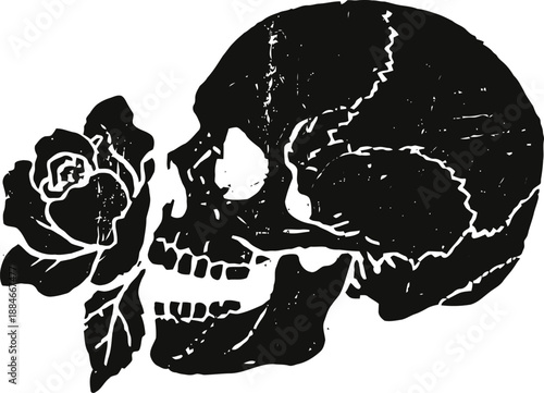 Skull with rose flower in mouth gothic dark art, tattoo design, macabre symbol of life and death