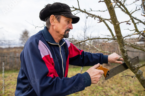 Man in the garden. A man works in the garden. Garden care. Autumn garden work. A man is pruning a dry branch of a fruit tree. Rural housework